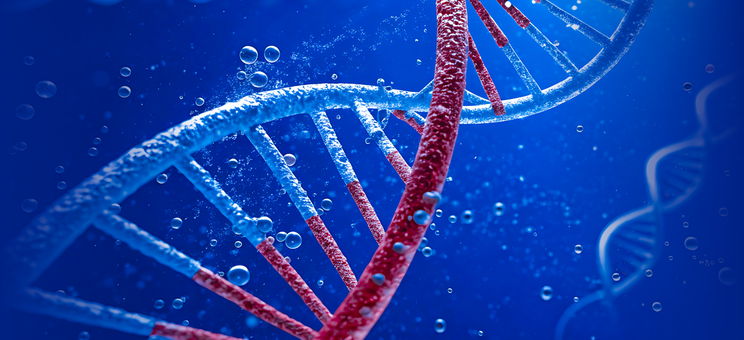 Dzień Nauki Polskiej